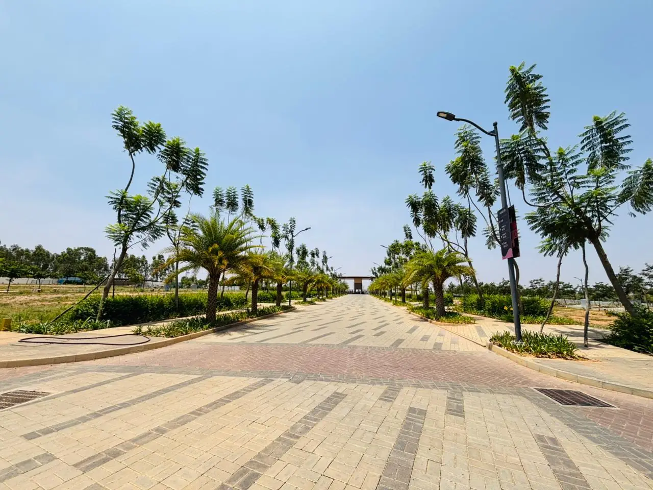 Paved tree-lined avenue within the estate